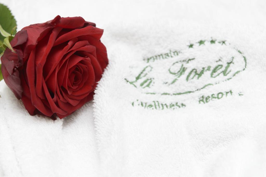 Domaine De La Foret Remich Room photo